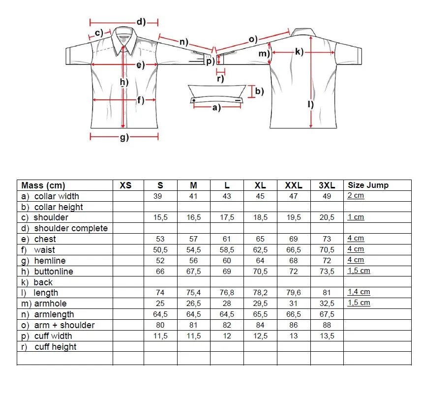 Alaric Men's Western Shirt
