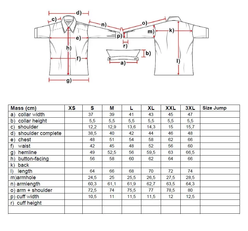 Catherine Ladies Western Blouse