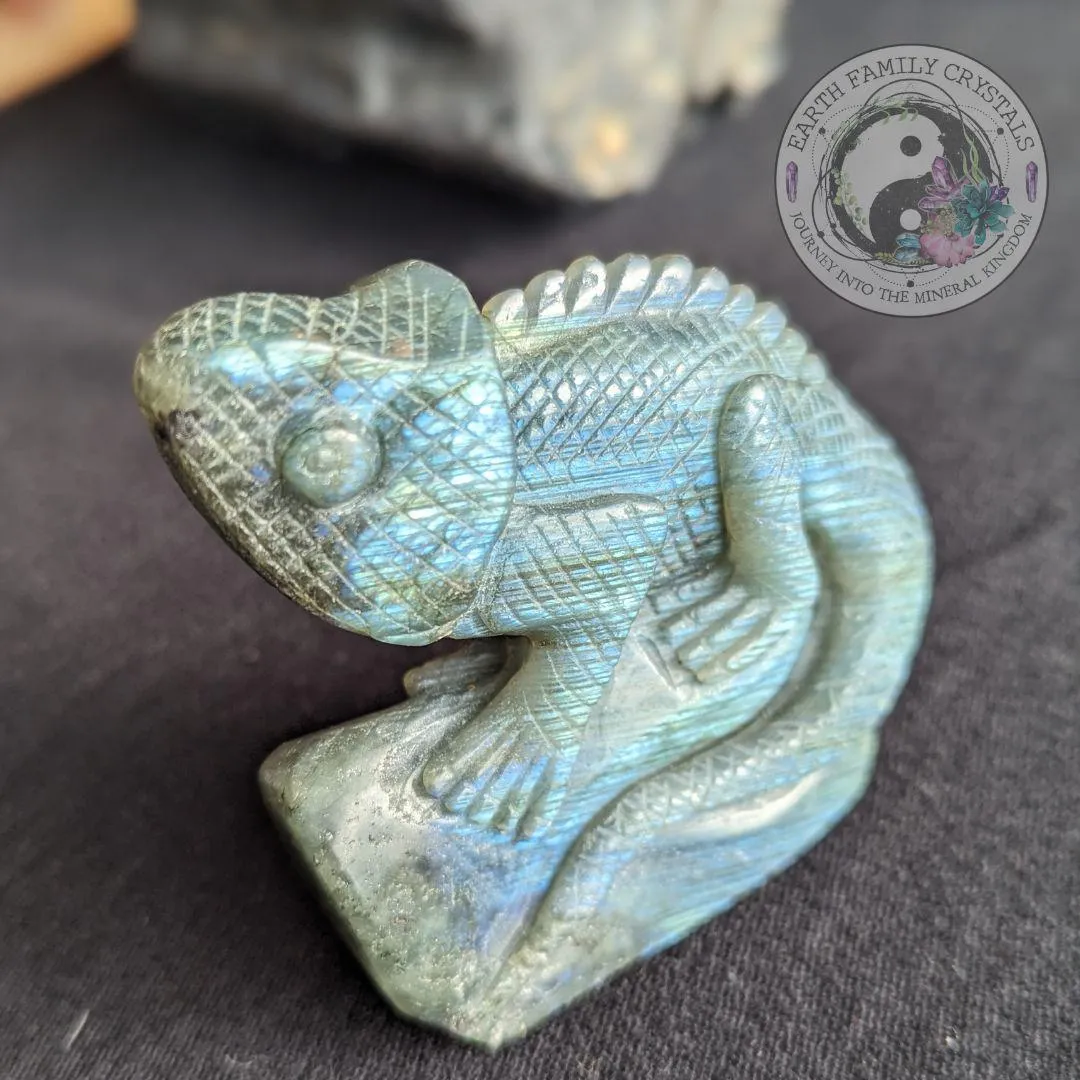 Flashy Labradorite Iguana Carving