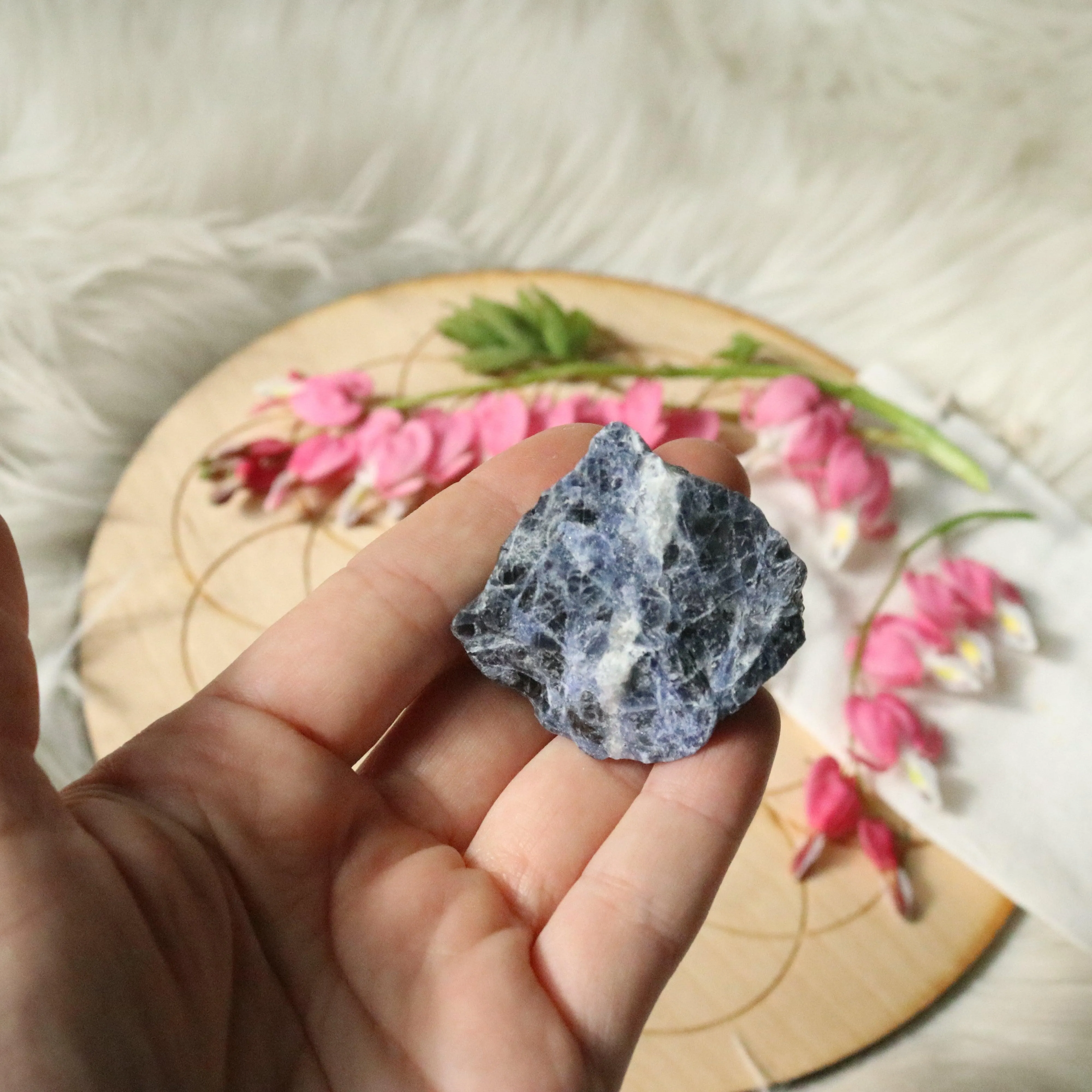 Small Cute Rough Blue Sodalite Specimen ~ Throat Chakra Activations