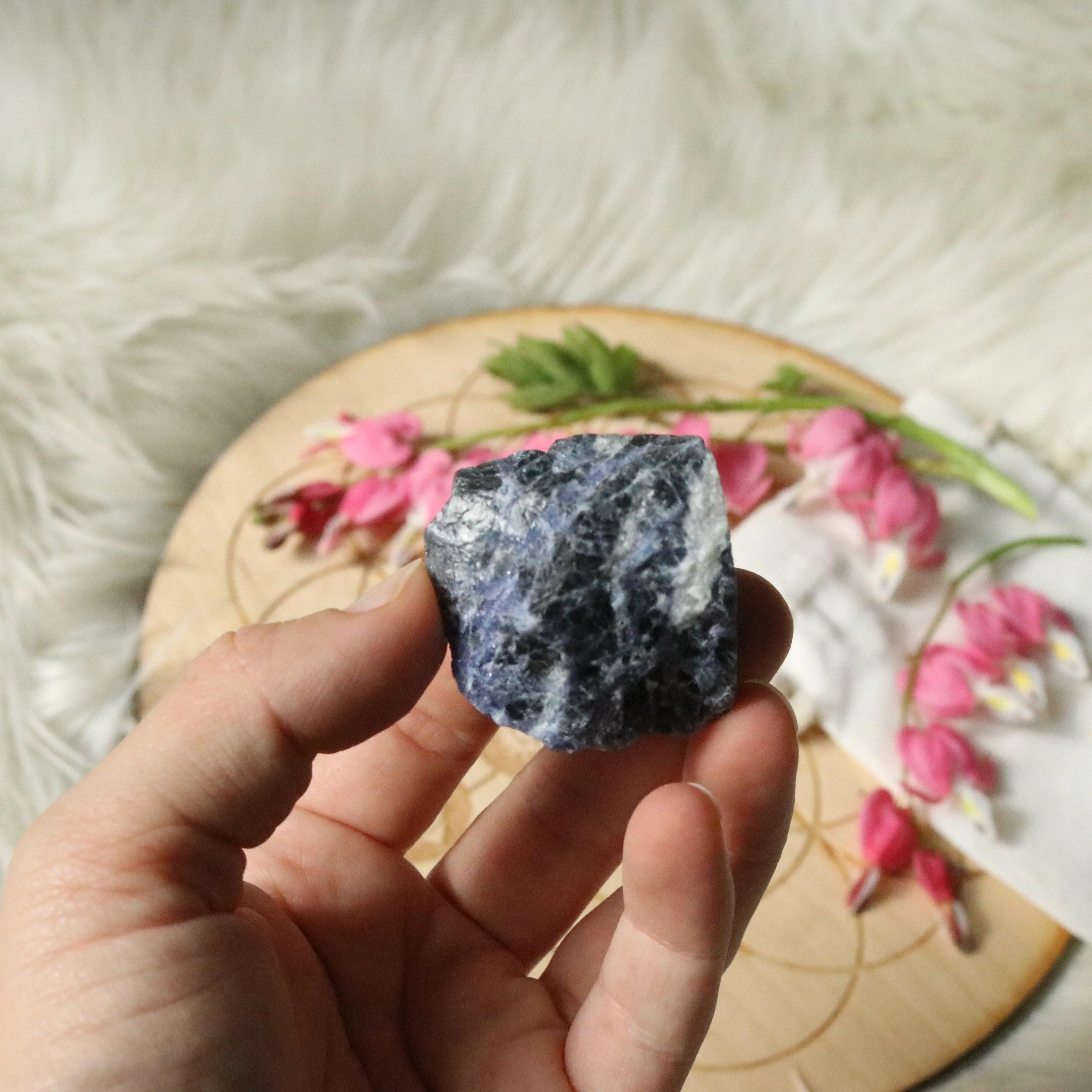 Small Cute Rough Blue Sodalite Specimen ~ Throat Chakra Activations