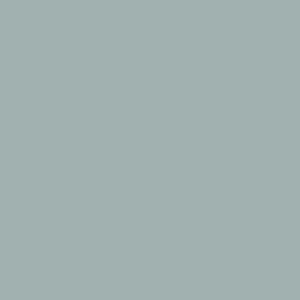 Western Denim Pearl Snap - Light Wash